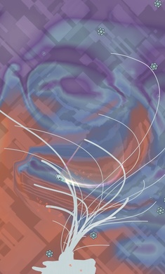 04