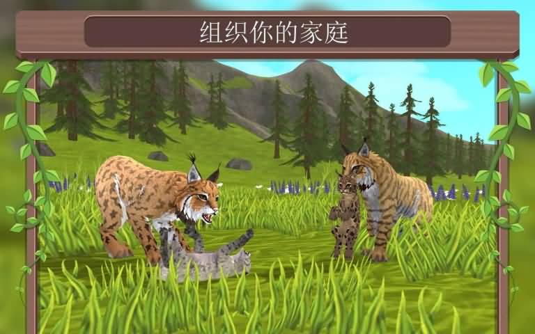 ccdb83fb3576