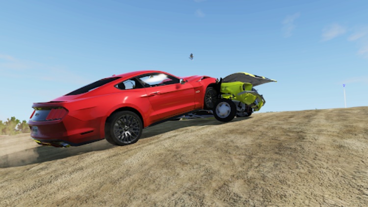 RCC  Real Car Crash Simulator