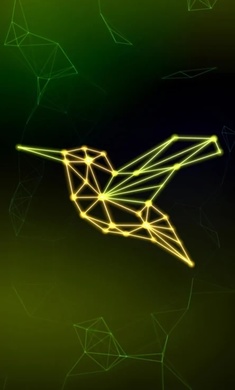 07