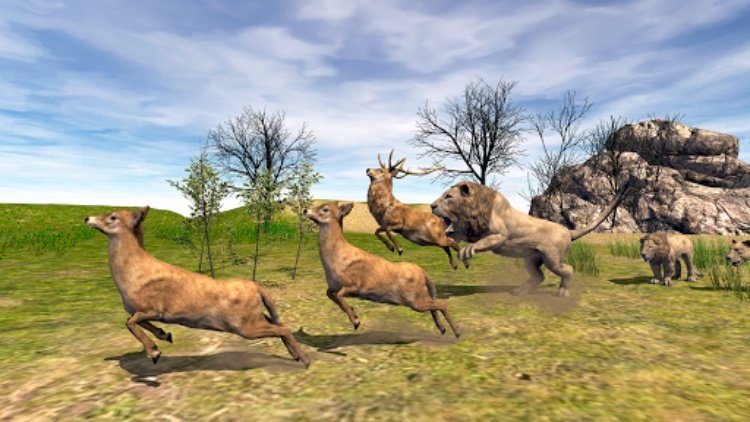 狮子
