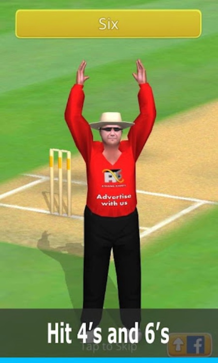 Smashing Cricket: cricket game