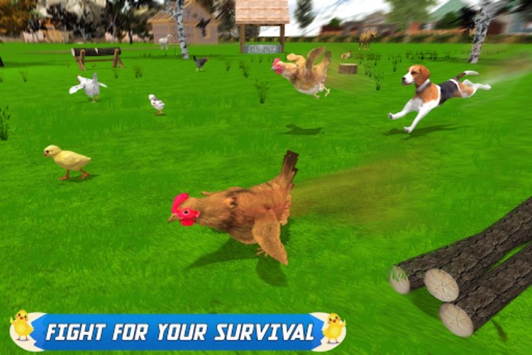 Hen Family Simulator Farming