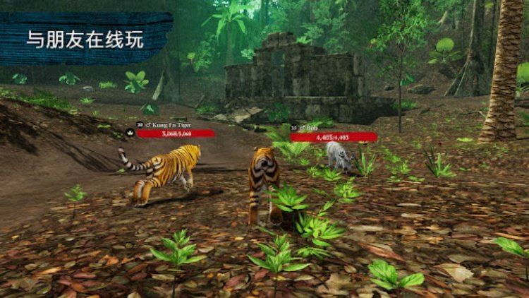 The Tiger