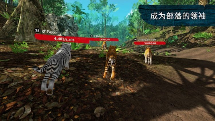 The Tiger