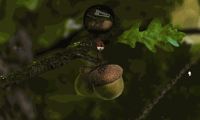05