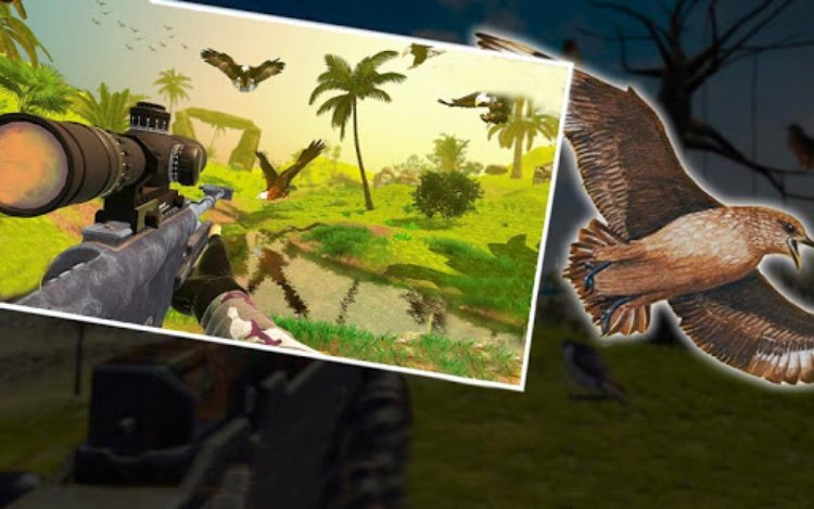 Bird Hunting Master: Birds Gam