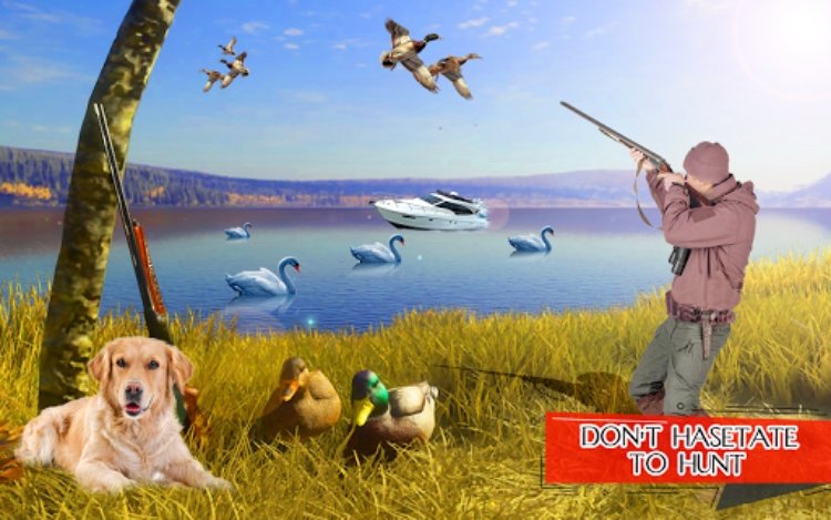 Bird Hunting Master: Birds Gam