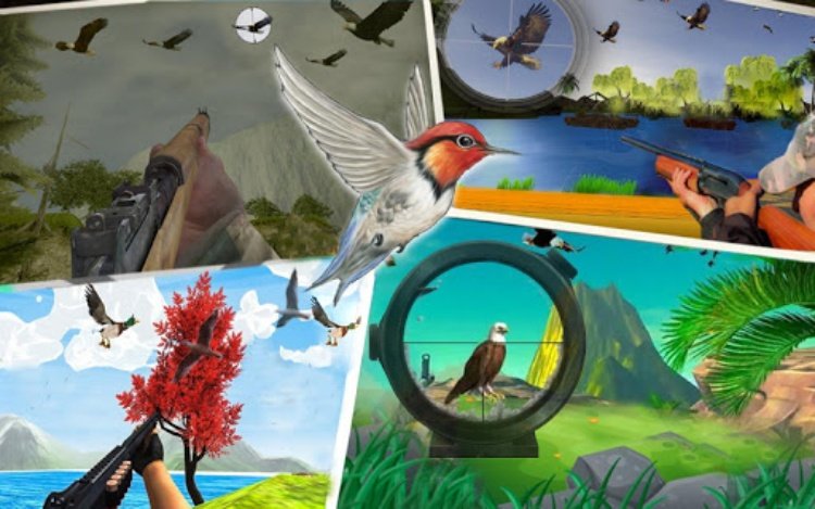 Bird Hunting Master: Birds Gam