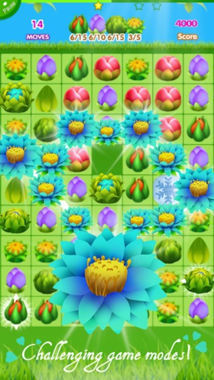 Blossom Garden