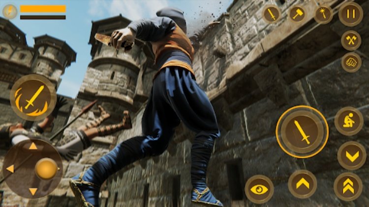 Ninja Assassin Creed Shadow