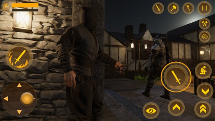 Ninja Assassin Creed Shadow