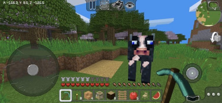 MultiCraft — Build and Mine!