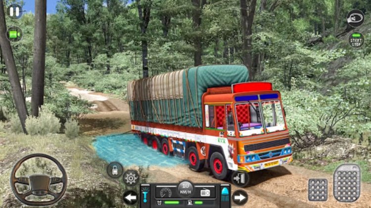 Mountain Cargo Truck Driving