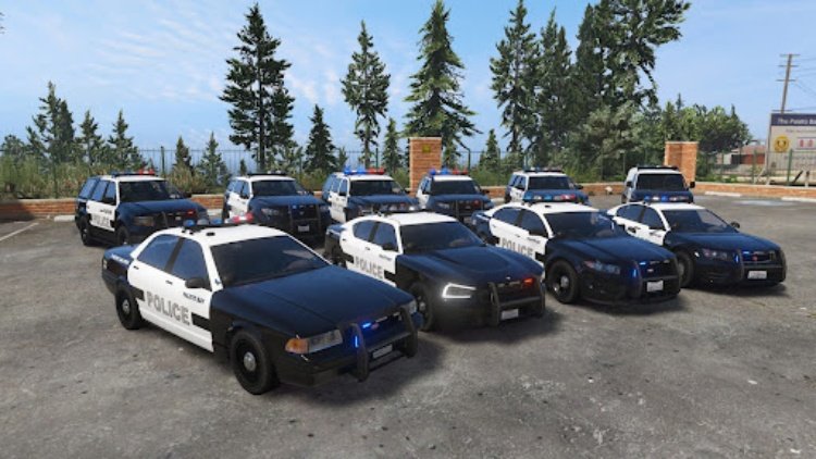 Police Car Driving Simulator