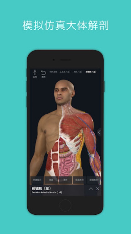 Complete Anatomy 2023