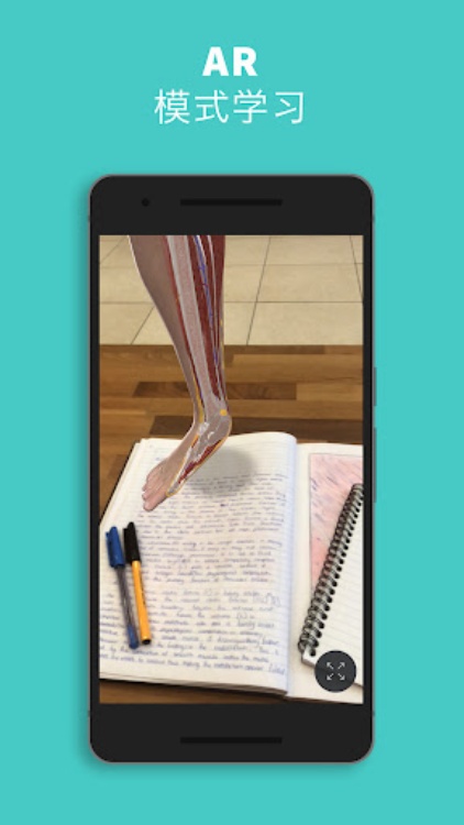 Complete Anatomy 2023