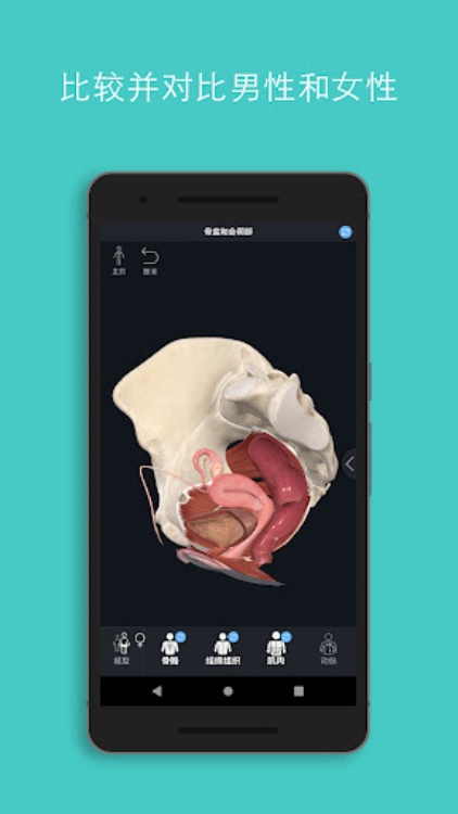 Complete Anatomy 2023