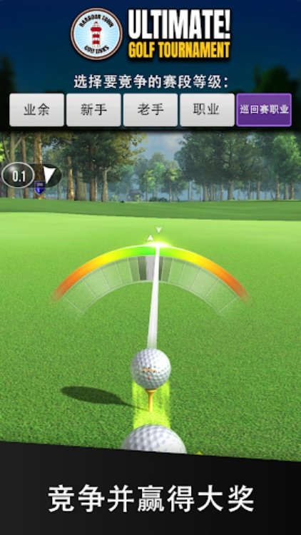 Ultimate Golf!