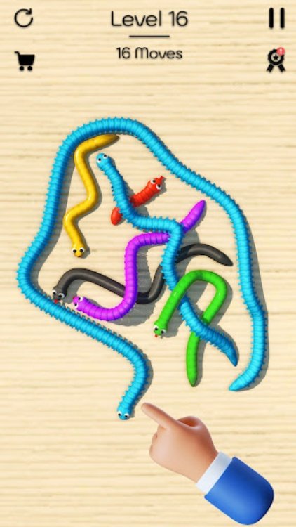 Tangled Snakes: Puzzle Game
