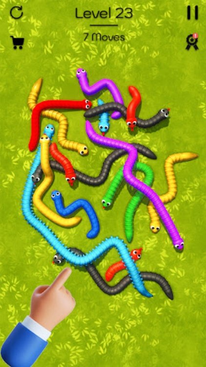 Tangled Snakes: Puzzle Game