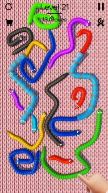 Tangled Snakes: Puzzle Game