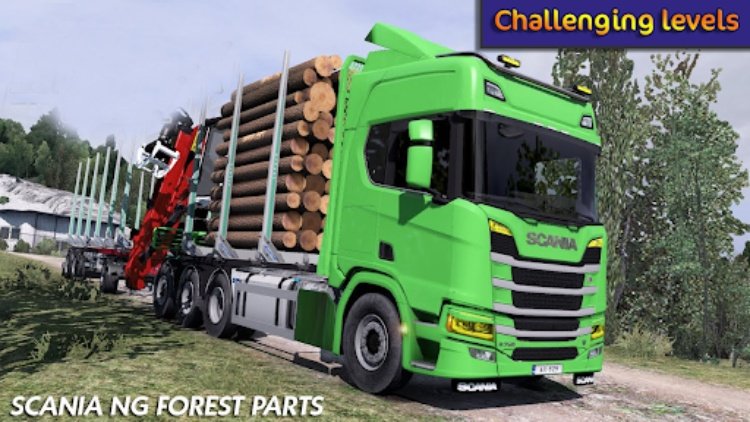 Truck Simulator Wood Transport