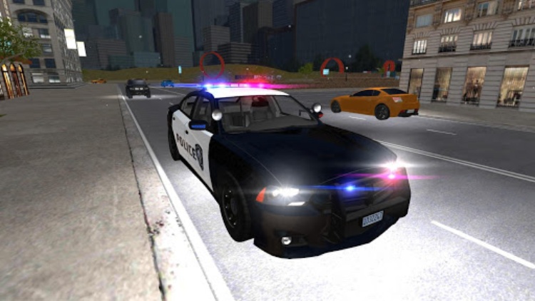 American Fast Police Driving