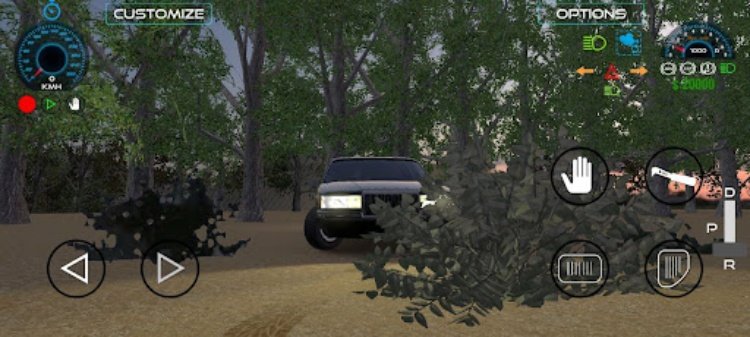 Open World Car Driving