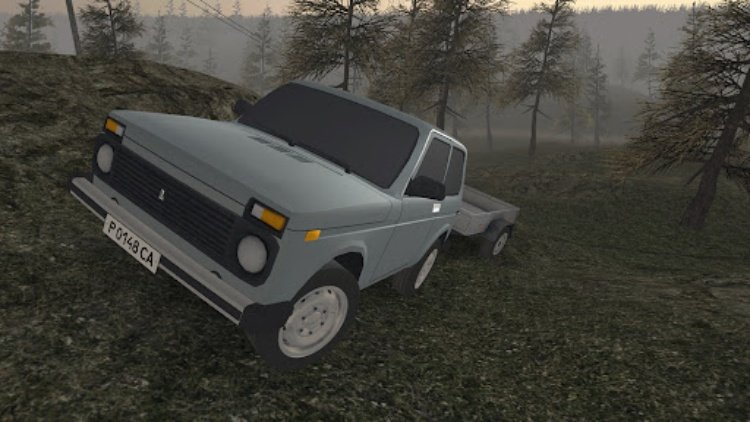 Forest Roads. Niva