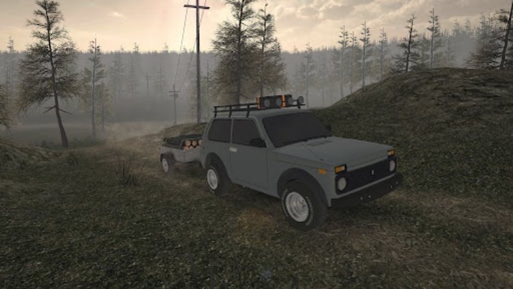Forest Roads. Niva
