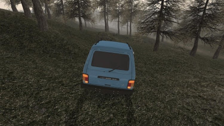Forest Roads. Niva