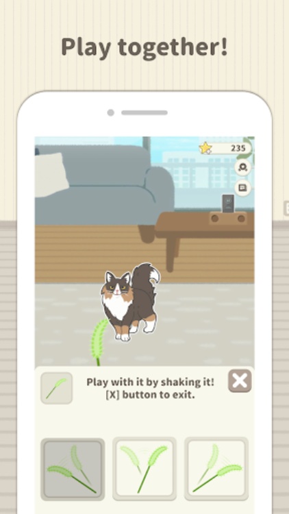 Pet Simulater 2D  Animal Room