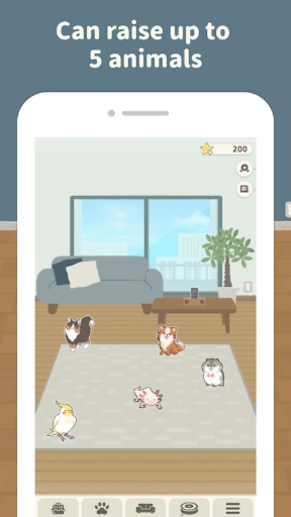 Pet Simulater 2D  Animal Room