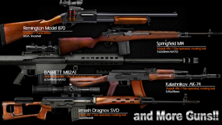 Magnum3.0 Gun Custom Simulator