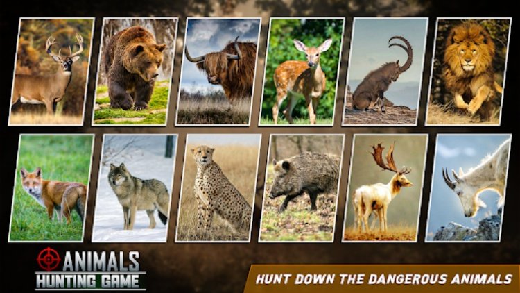 野生射击狩猎游戏3d