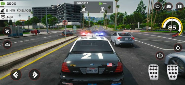 Highway Police Chase Simulator