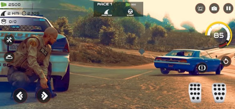 Highway Police Chase Simulator