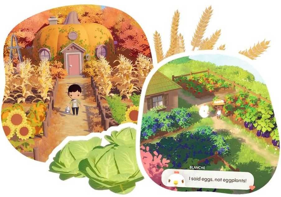 f0bbac133432fda93c01e43acf5e6862_结果