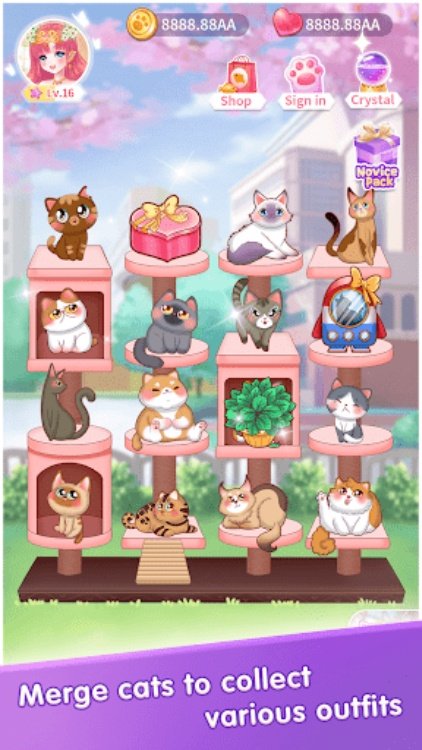 猫咪日记: 动漫公主换装