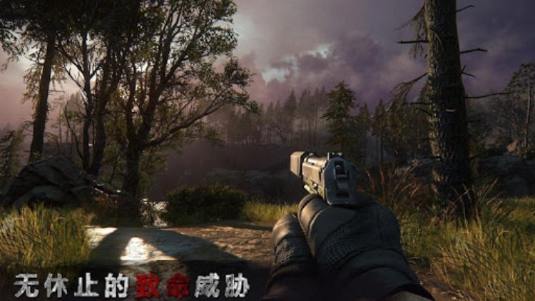 狙击精英:枪王之王