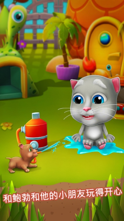 我的会说话的 Bob 猫