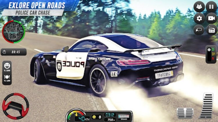 Police Car Chase: Cop Games 3D