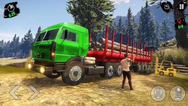 Indian Cargo Truck Driver Game