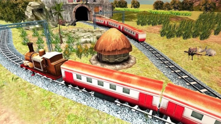 Real Indian Train Sim Train 3D
