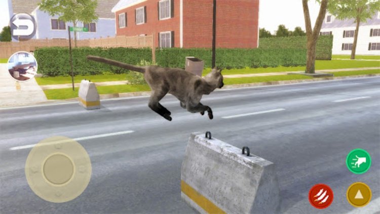 说孟买猫