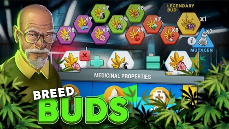 Hempire  Plant Growing Game