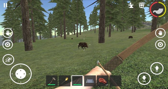 forest-survival-2_结果.jpg