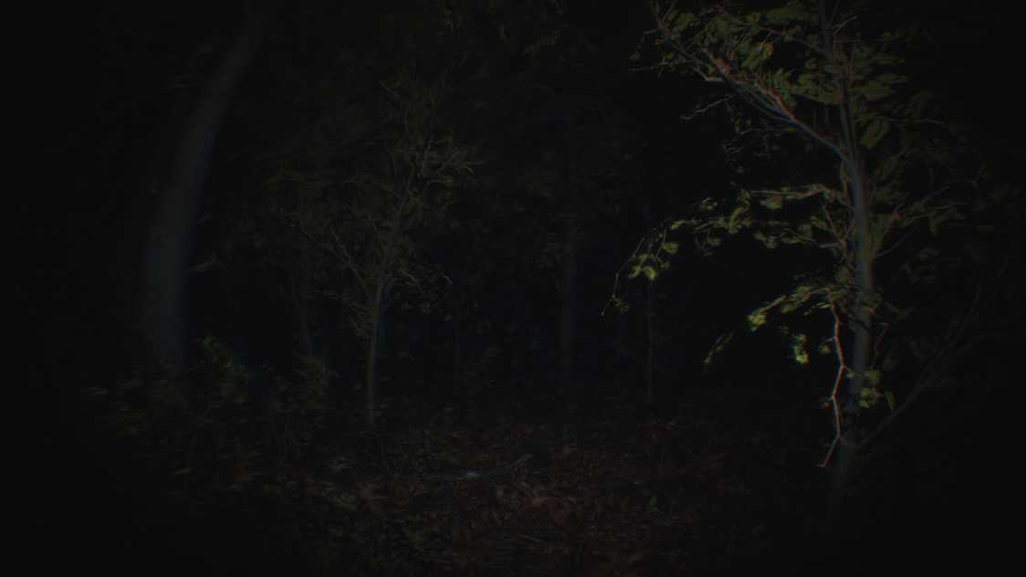 ss_0d7a8ae4f6c8e7487c4e705bf02d49a972f50113.1920x1080_结果.jpg
