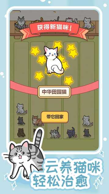 13335061980_结果.jpg